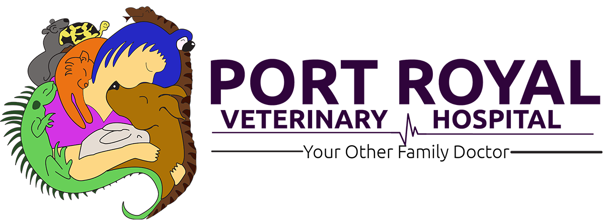 Port Royal Veterinary Hospital Home